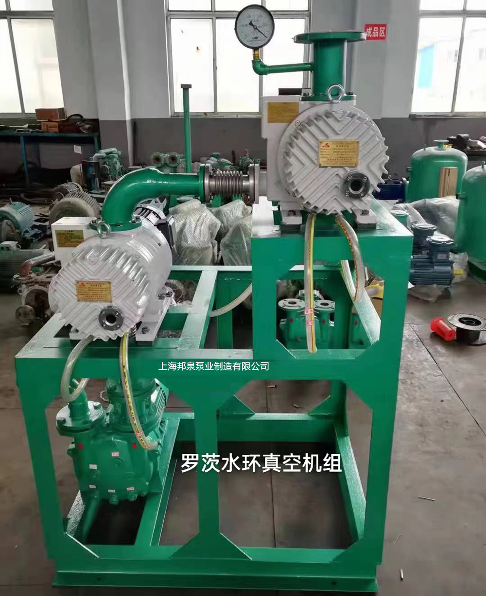羅茨水環(huán)真空機(jī)組Roots pump systems with water ring